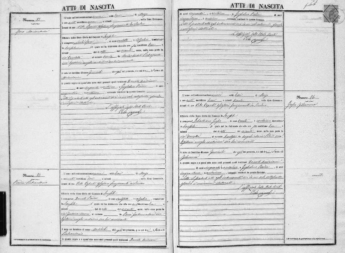 Handwritten 1879 Italian birth record for Pietro Antonio Radice