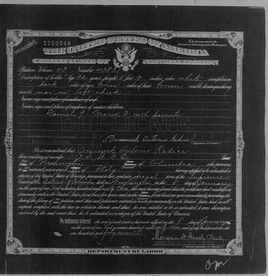 1923 certificate of naturalization for Domenico Radice